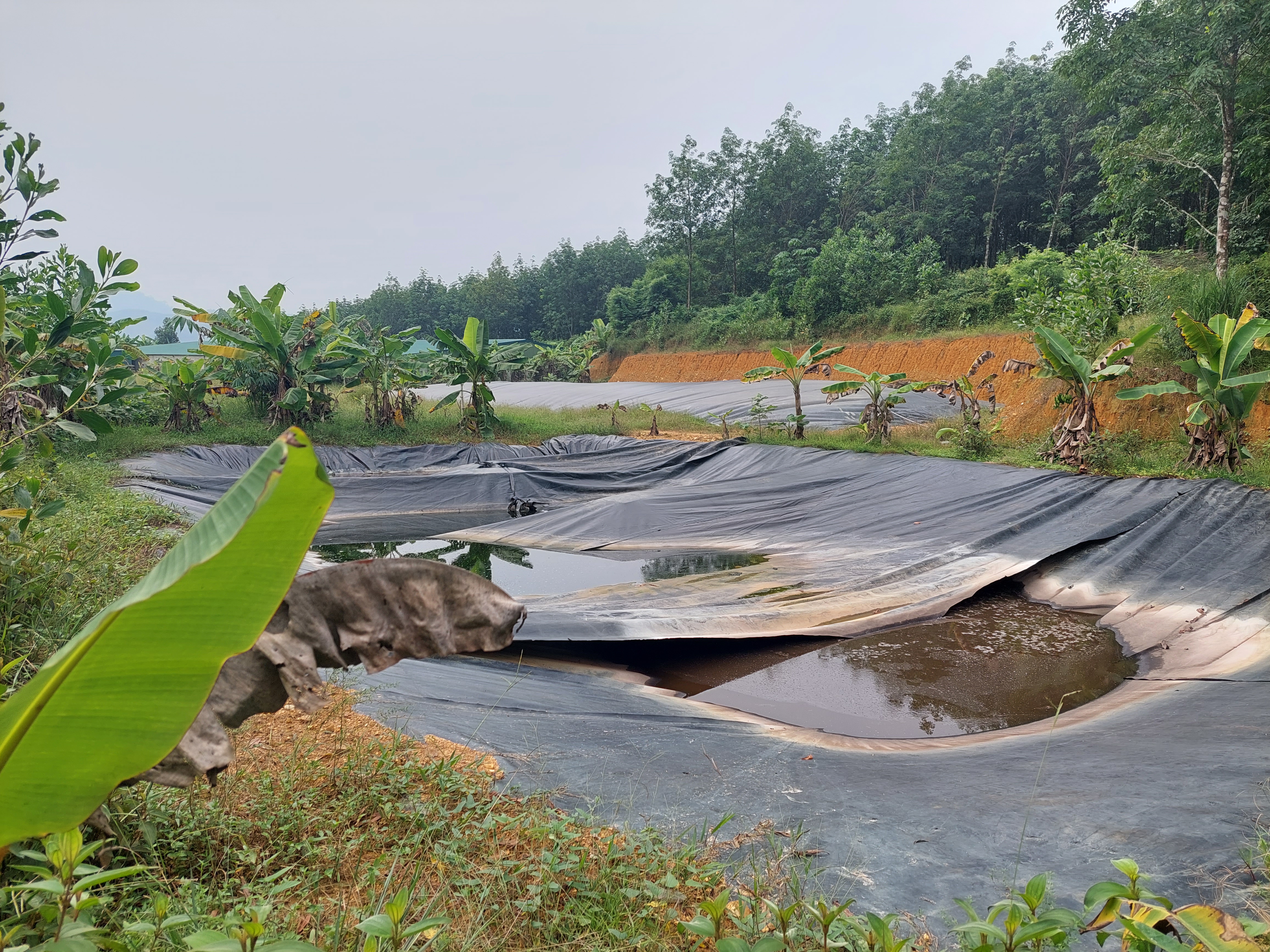 Hà Tĩnh: Xử phạt 5 đơn vị vị phạm lĩnh vực Tài Nguyên – Môi trường số tiền hơn 230 triệu đồng